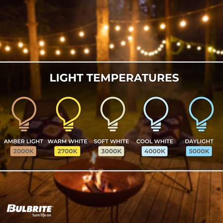 Bulbrite Outdoor/Indoor 30 ft. Plug-in Black String Light with E26 Base 12 Sockets-Bulbs Not Included 812300